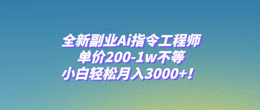 全新副业Ai指令工程师：单价200-1w不等，学会轻松月入3000+-云创网副业